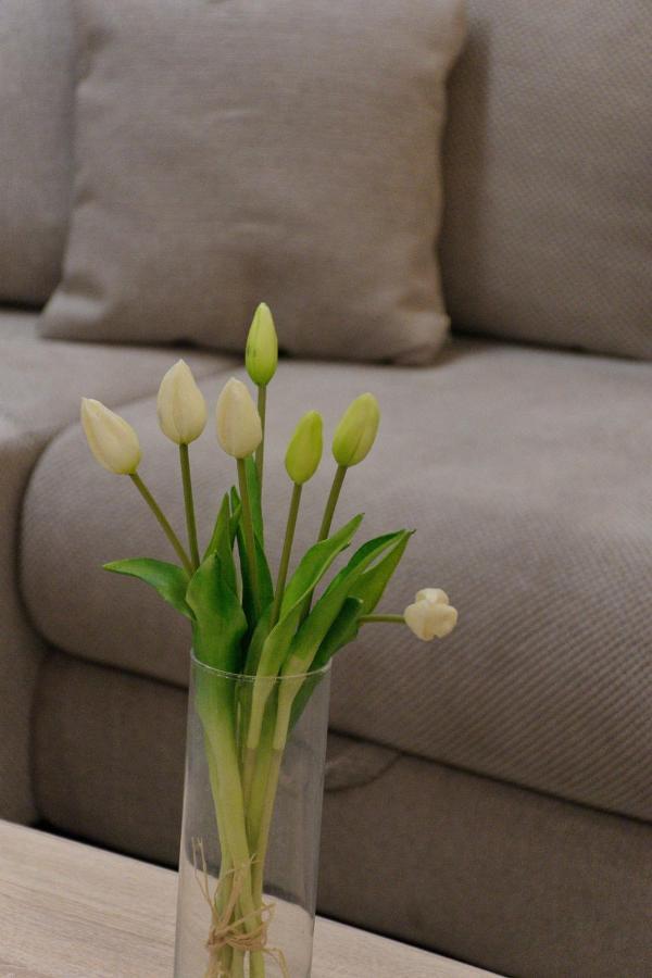 Apartment Anna - Free Pickup From Or Dropoff To Zagreb Airport At Any Time, Please Give Three Days Advance Notice - Long-Term Parking With Airport Transport Possibility Velika Gorica Exteriör bild